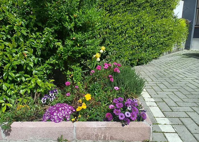 Appartamenti Borghetto San Donato 105