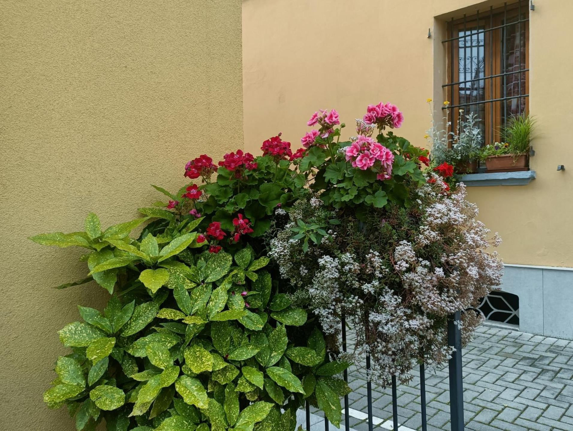 Borghetto San Donato 105 * Bologna