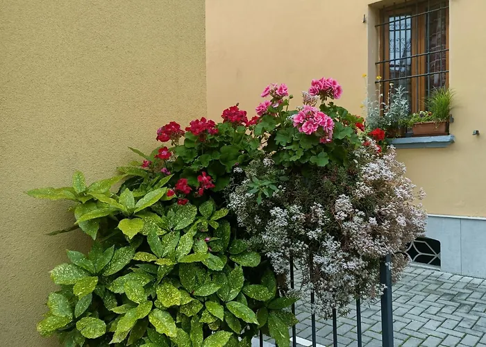 Appartamenti Borghetto San Donato 105