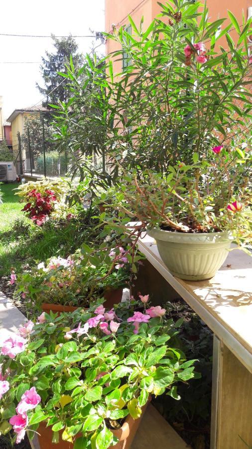 Appartamento Borghetto San Donato 105