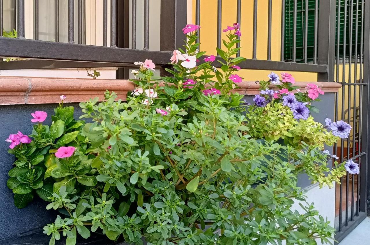 Appartamento Borghetto San Donato 105 *